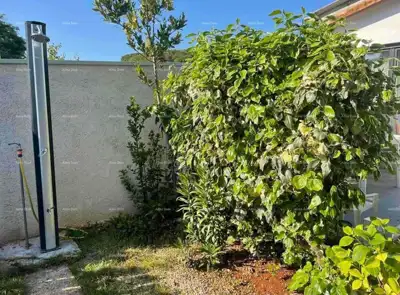 Haus in Umag, 50 m vom Meer entfernt und Genehmigung für einen Anbau - 3