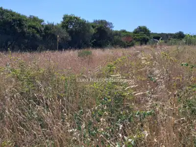 Agricultural land 605 m², Pula - Monteserpo, water and access - 2