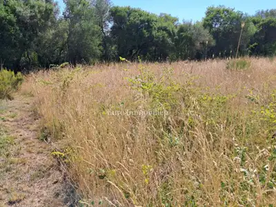 Poljoprivredno zemljište 605 m², Pula - Monteserpo, voda i prilaz