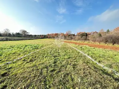 Istra, Građevinsko zemljšte 3 km od mora - 4