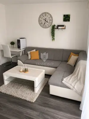Kuća u Labinu, 8000 m² okućnice i mirno okruženje