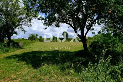Building plot, Tinj - by asphalt road, water and electricity - 6
