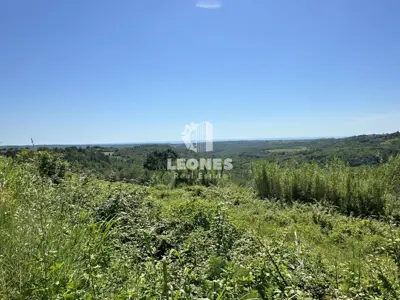Building land, Buje - sea view and building permit - 7
