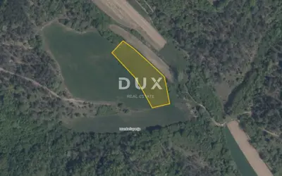 ISTRA, PAZIN, CEROVLJE – Oranica i livada 5.132 m² - 2