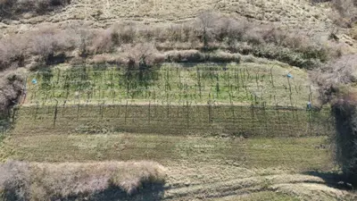 KAŠČERGA – Atraktivno građevinsko zemljište 1665 m² s pogledom na Učku - 3
