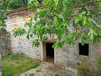 Kamena kuća 58 m², Beram - za adaptaciju i dvorište - 16