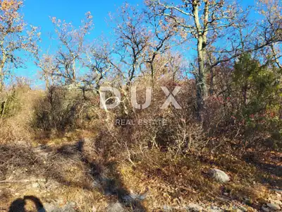 ISTRA, BUZET - Poljoprivredno zemljište 3012 m² - 4