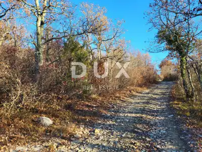 ISTRA, BUZET - Poljoprivredno zemljište 3012 m² - 3