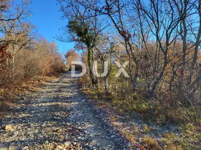 ISTRA, BUZET - Poljoprivredno zemljište 3012 m² - 5