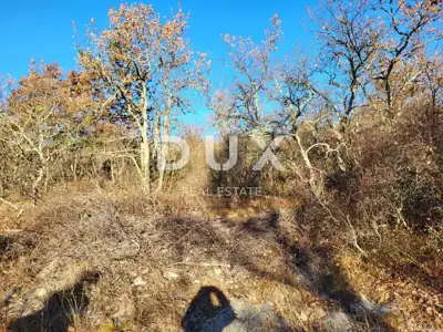ISTRA, BUZET - Poljoprivredno zemljište 3012 m² - 2