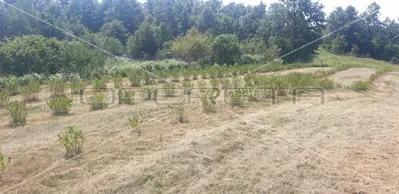 Gornji Skrad, Krnjak, 135.825,00 m², 225.044,00 EUR