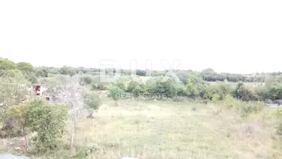 Poljoprivredno zemljište, Galižana - ravno i pravilnog oblika - 3