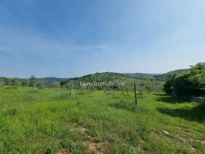 Građevinsko zemljište, Buje - parcele s pristupnim putem - 6