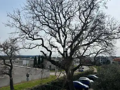 Stan 83 m², Novigrad - pogled na more i terasa - 8