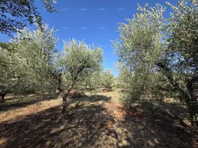 Građevinsko zemljište 638 m², Loborika - uredan pristupni put