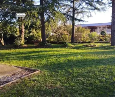 House with large garden, 5 km from Poreč - 14