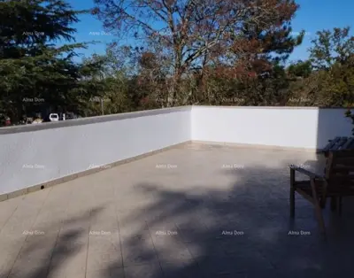 House with large garden, 5 km from Poreč - 11