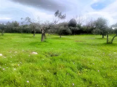 Building plot for an investment project - Pula, Šijana, 3,353 m² - 4