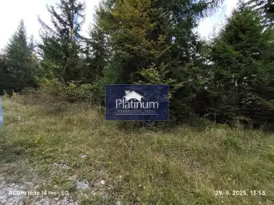 Bauland, Parg - Ruhe und Stille am Wald