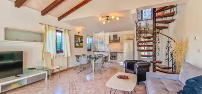 Novigrad, pet friendly kuća s bazenom i velikim dvorištem - 9