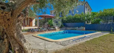 Novigrad, pet friendly kuća s bazenom i velikim dvorištem - 3