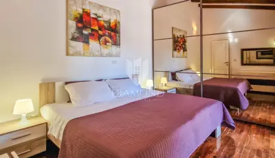 Novigrad, pet friendly kuća s bazenom i velikim dvorištem - 13