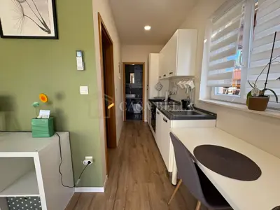 1-Zimmer-Wohnung zur Miete 35 m² in Matulji - ruhige Lage - 2