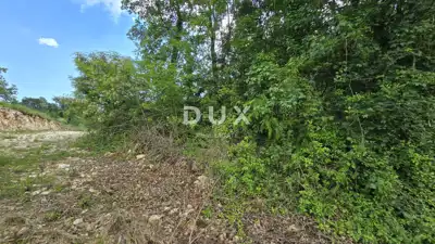 ISTRA, PIĆAN - Baugrundstück mit Projekt - 14