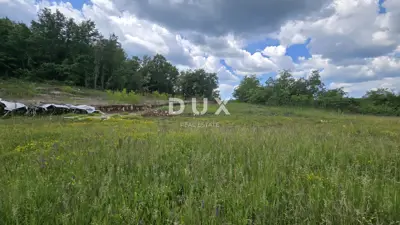 ISTRA, PIĆAN - Baugrundstück mit Projekt - 11
