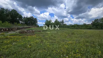 ISTRA, PIĆAN - Baugrundstück mit Projekt - 3