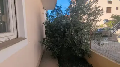 Mehrfamilienhaus in Zadar - ruhige Lage, mehrere Wohneinheiten und großes Potenzial - 3
