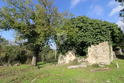 Imanje 327 m², Boljun - mirna lokacija i pogled - 2