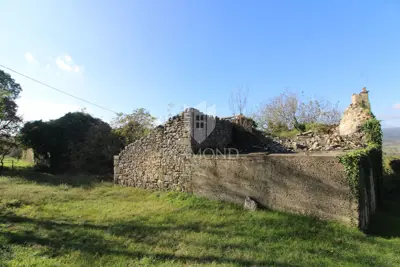 Imanje 327 m², Boljun - mirna lokacija i pogled - 12