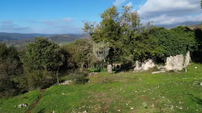 Imanje 327 m², Boljun - mirna lokacija i pogled - 7
