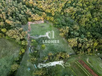 Building land, Plovanija near Buje, surrounded by greenery - 3