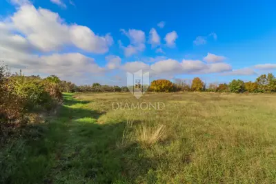 Land 4,500 m², Svetvinčenat - building part 2,279 m² - 4