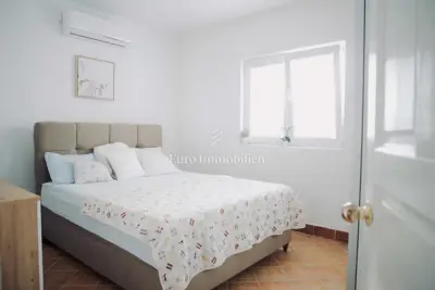 House on Vir, 4 apartments and landscaped yard - 15