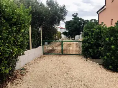 House on Vir, 4 apartments and landscaped yard - 2