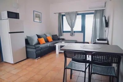 House on Vir, 4 apartments and landscaped yard - 16