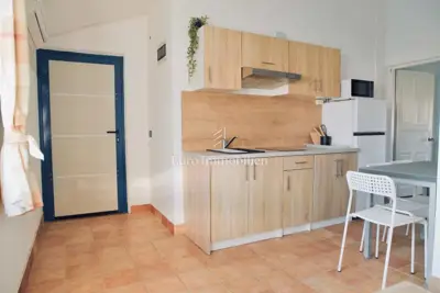 House on Vir, 4 apartments and landscaped yard - 18