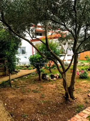 House on Vir, 4 apartments and landscaped yard - 3