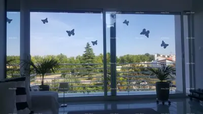 Stan 72 m², Mareda kraj Novigrada, 100 m od plaže - 17