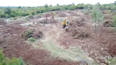 Grundstück, Vrsar - gerodetes Waldgrundstück - 3