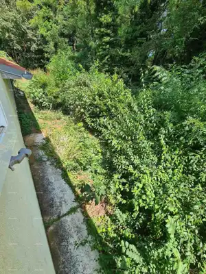 Prodaja kuće 273 m², sa dvorištem i velikim zemljištem, Barban - 20