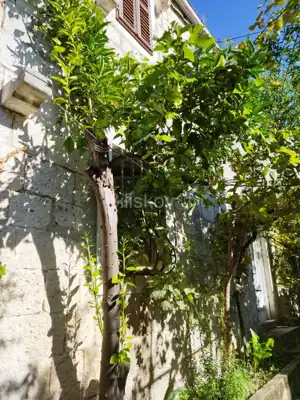 Kamena kuća 116 m², Viganj, 500 m od mora i plaže - 2