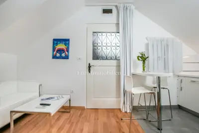 Renovirana samostojeća kamena kuća s dvije jednice - 5