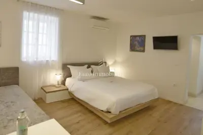 Renovirana samostojeća kamena kuća s dvije jednice - 8