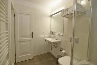 Renovirana samostojeća kamena kuća s dvije jednice - 12