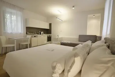 Renovirana samostojeća kamena kuća s dvije jednice - 10