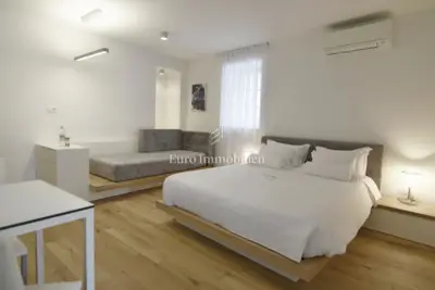 Renovirana samostojeća kamena kuća s dvije jednice - 9